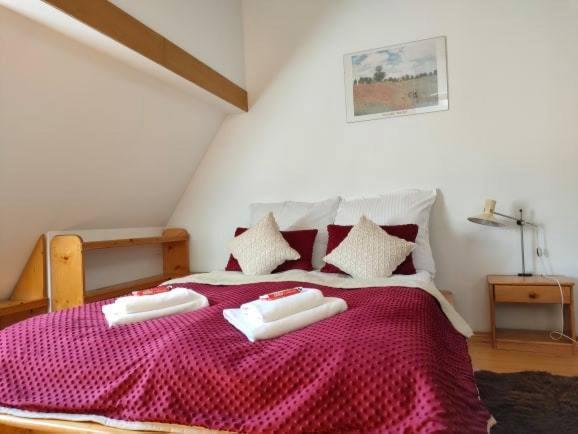 Apartament W Centrum Przy Kominku Закопане Екстериор снимка