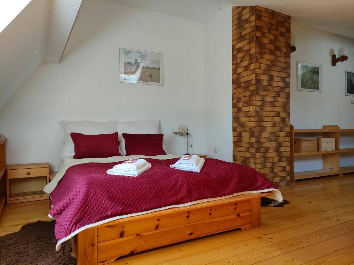 Apartament W Centrum Przy Kominku Закопане Екстериор снимка